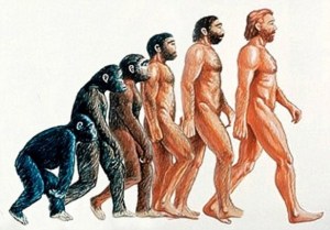 Ilustración de la evolución según www.cienciados.com